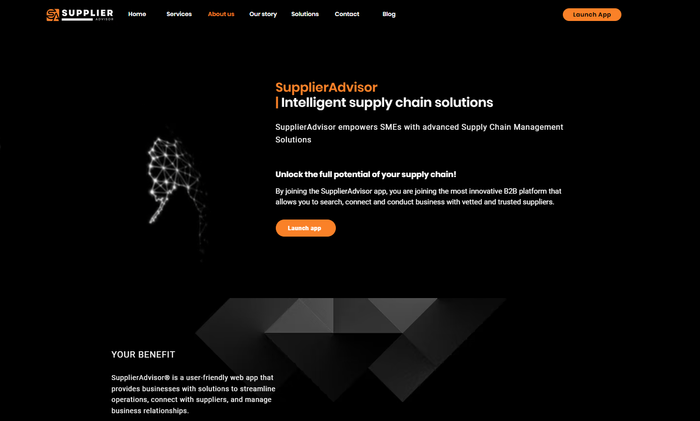 SupplierAdvisor Website Screenshot 2